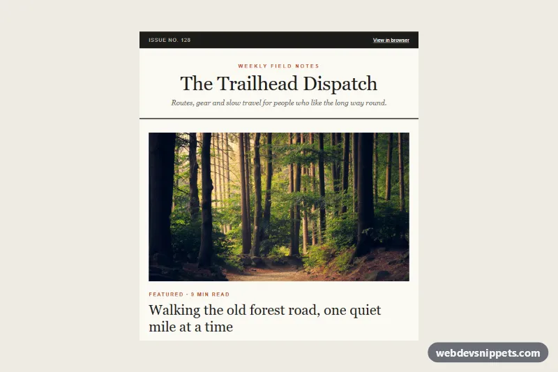 Newsletter Email with Featured Articles – Pure CSS email templates component screenshot